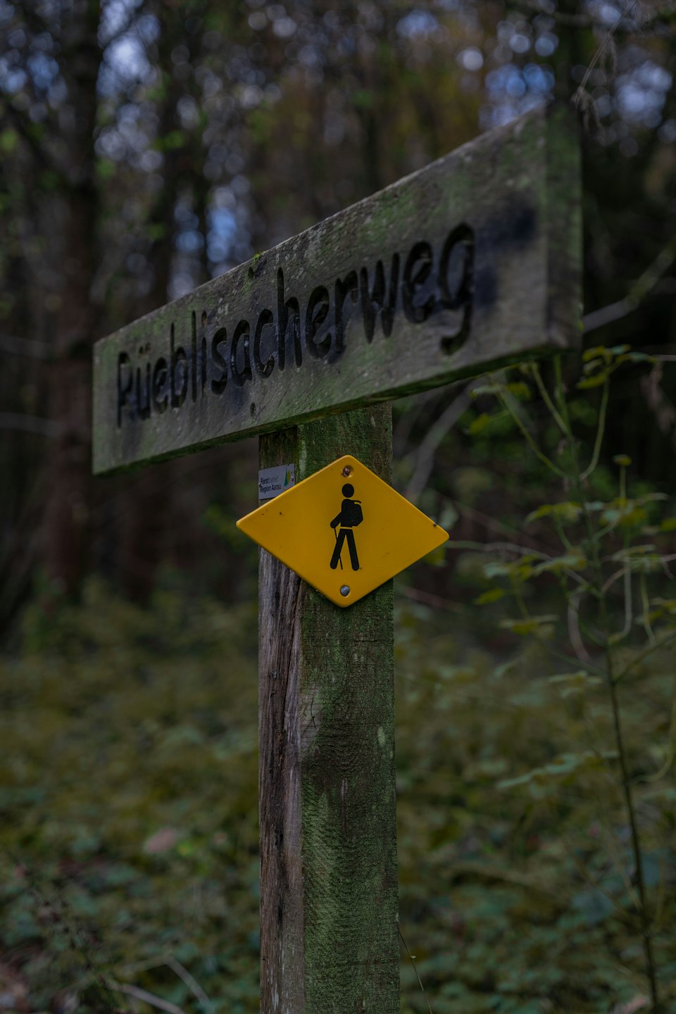 Wooden hiking sign marking the Rüeblisacherweg trail in the forest.