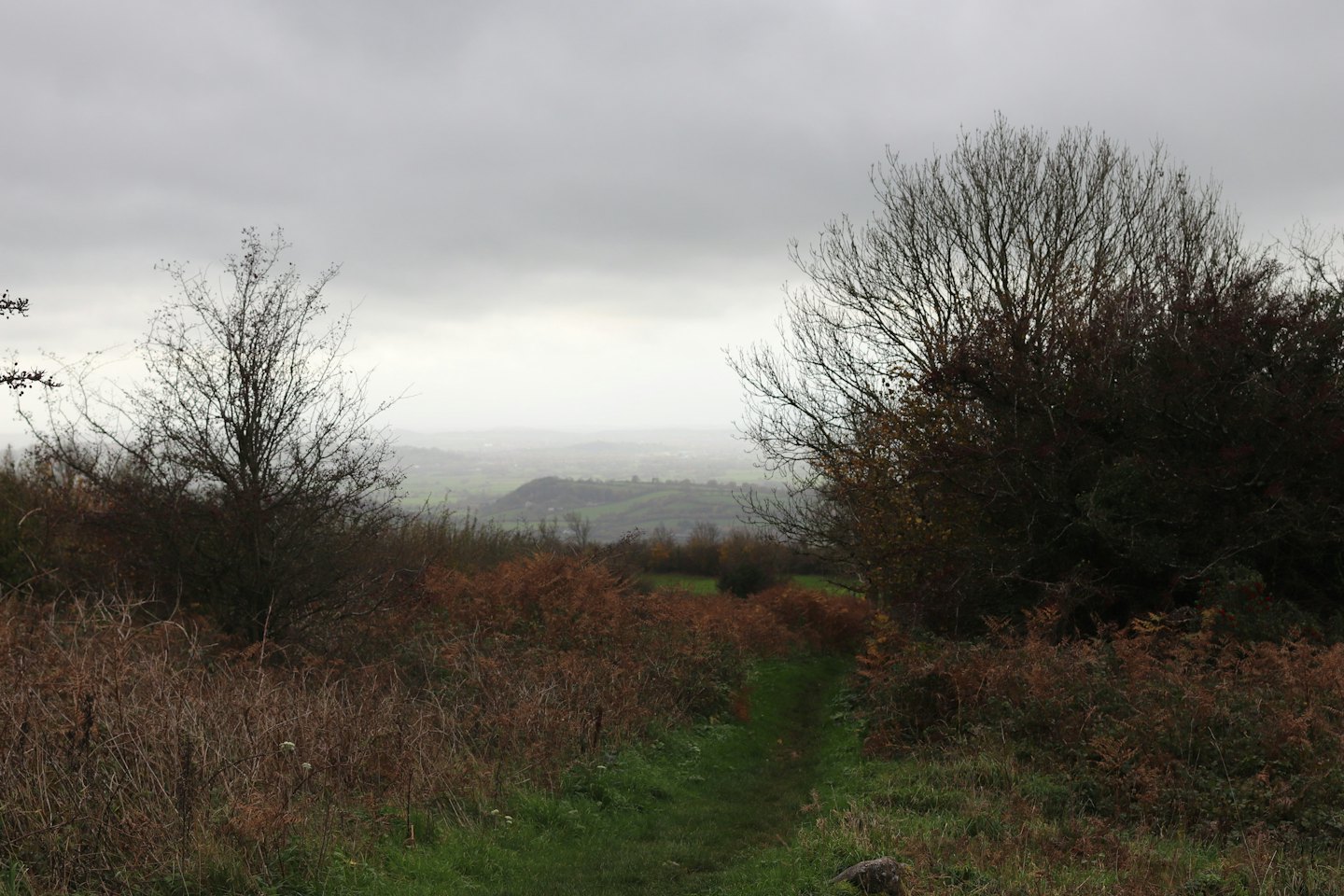 A narrow path winds through a grassy valley toward misty hills.