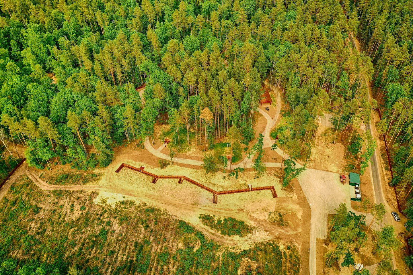 Wooden walkways wind through a forest near a small building.