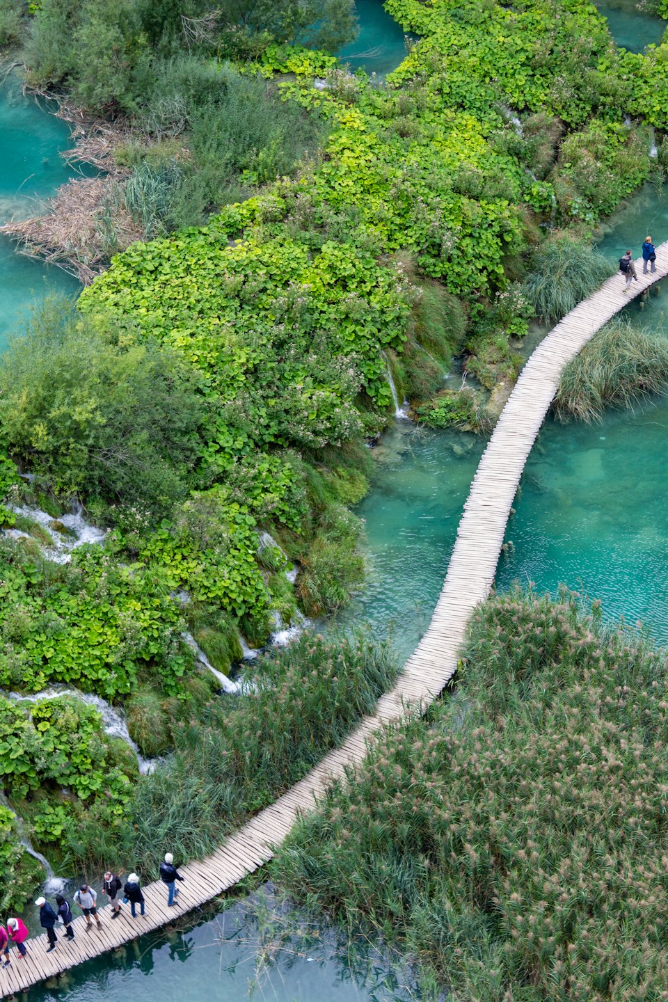 Tourists walk along a wooden boardwalk through a green park.