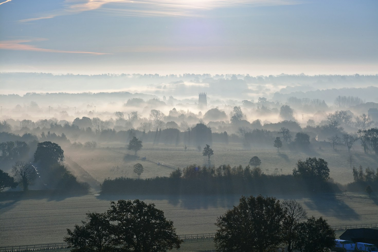 A Hiker Guide to Encountering Wildlife in the Black Forest