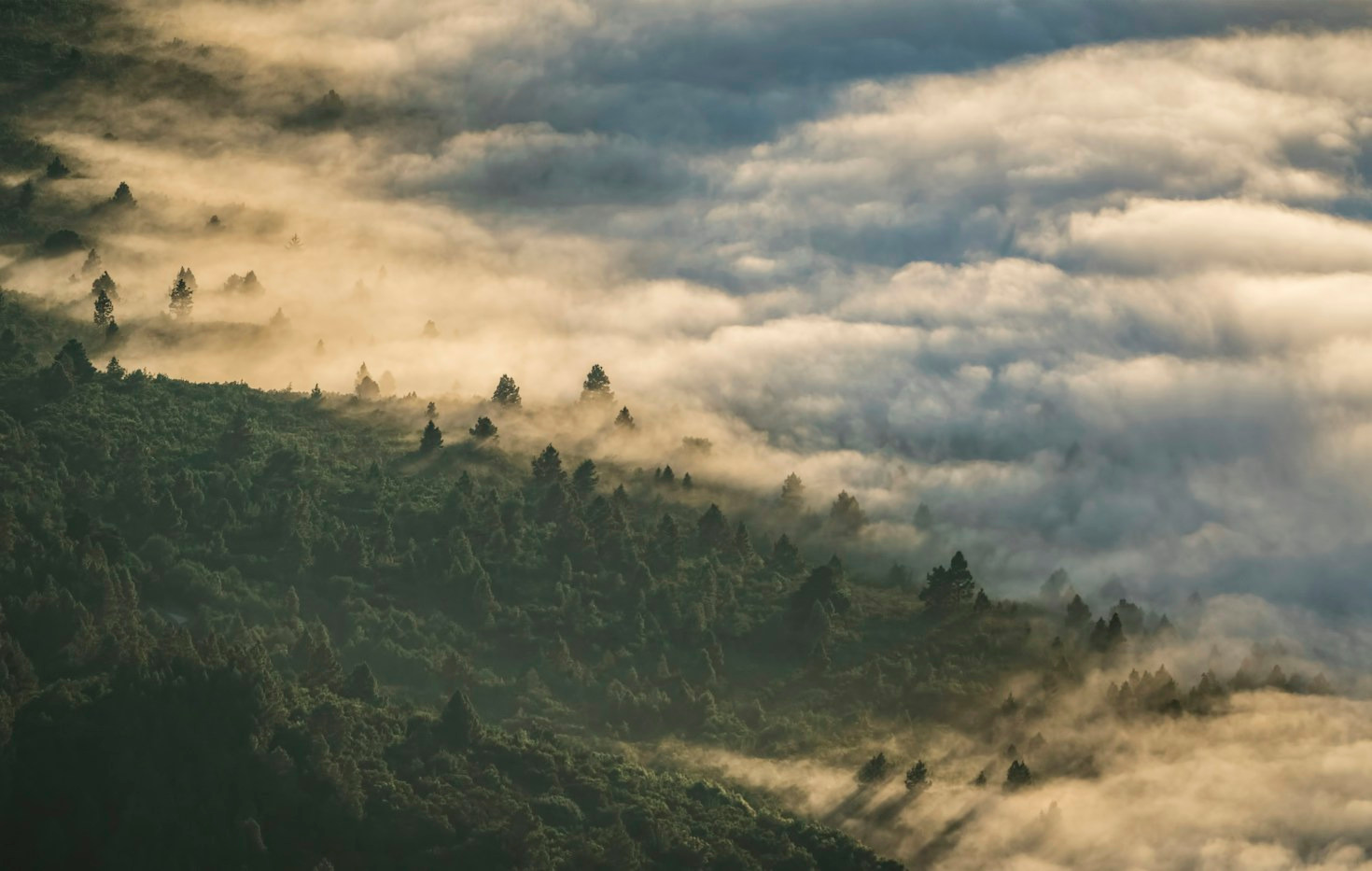 Navigating Saxon Switzerland: Best Routes and Seasonal Packing Lists