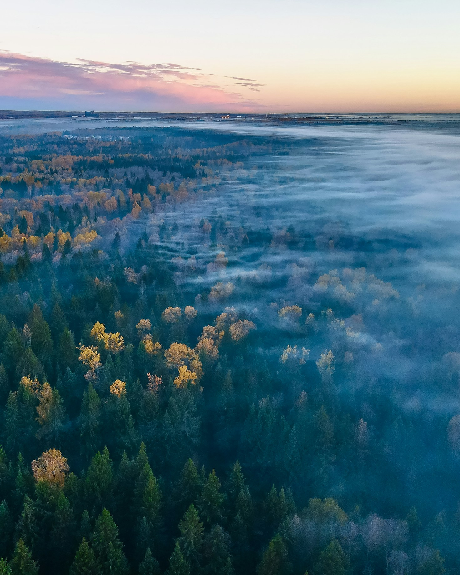 Leave No Trace: Eco-Tourism Best Practices for Exploring National Parks