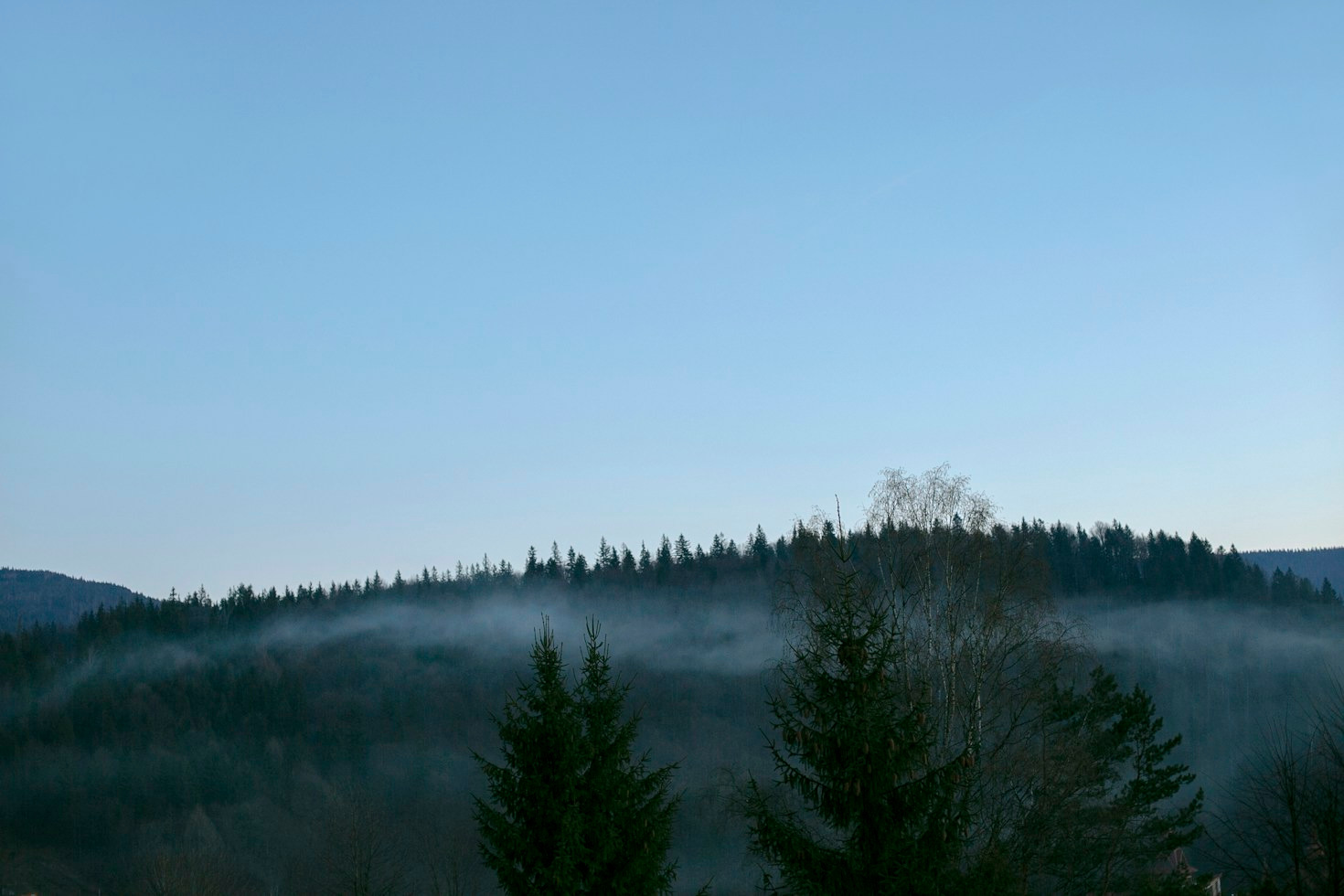 Winter Wonderland Trails: Cold-Weather Walking Across the Harz Mountains